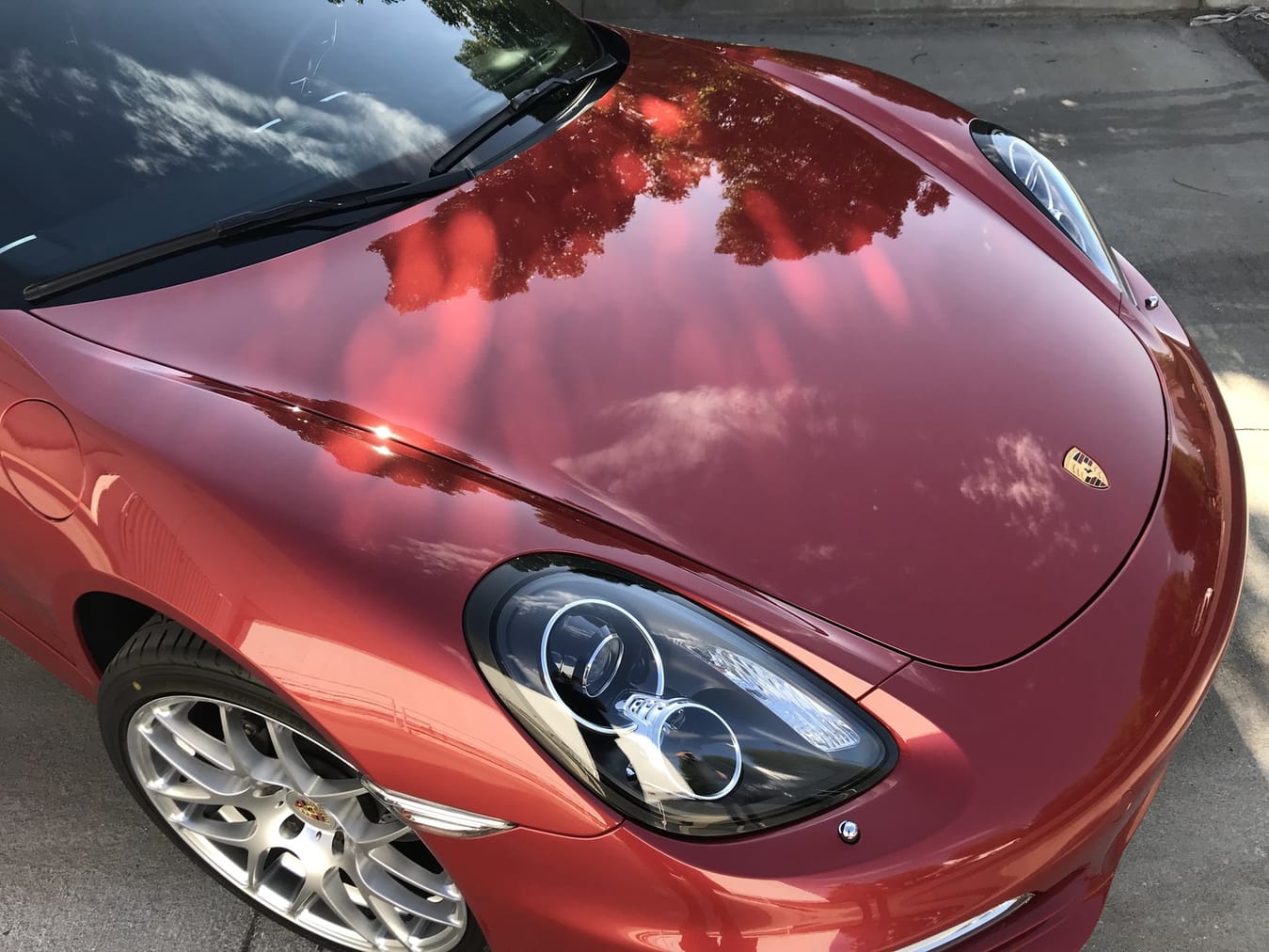 View the XPEL paint protection film coverage options